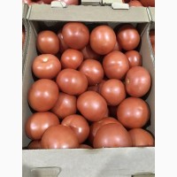 Продаем томат (круглый)