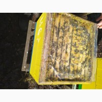 Продажа пчелосемьи, пчелопакеты