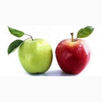Продам яблоко от производителя, от 4.5грн