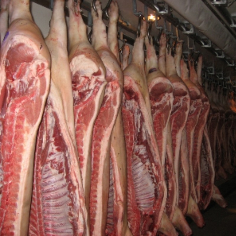 Отгрузка свинины в полутушах. Средняя часть свиной полутуши. Мясо свинины в полутушах. Купить мясо живой вес