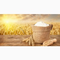 Продам борошно пшеничне 2кг Куліндорівський млин