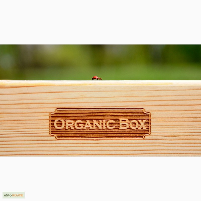 Фото 4. Ящики для цветов, растений, ограждения для клумб высокие грядки Organic Box купить Киев