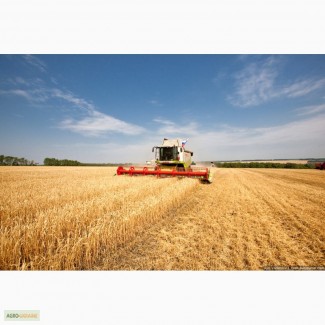 Услуги по уборке урожая комбайнами обработка земли посев по Украине