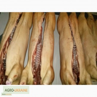 Фото 9. СРОЧНО продам от производителя говядину и свинину на экспорт внутренний рынок с 20 тонн