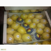 Мандарины, яблоки, хурма, апельсин, лимон, банан, крупный и мелки ОПТ доставка по Украине