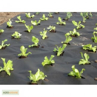 Агроволокно, спанбонд, защита от сорняков 50г/м2 3.20мх10 м черное
