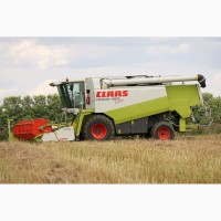 Збір врожаю (уборка урожая) комбайн Claas Lexion 480 і зерновоз