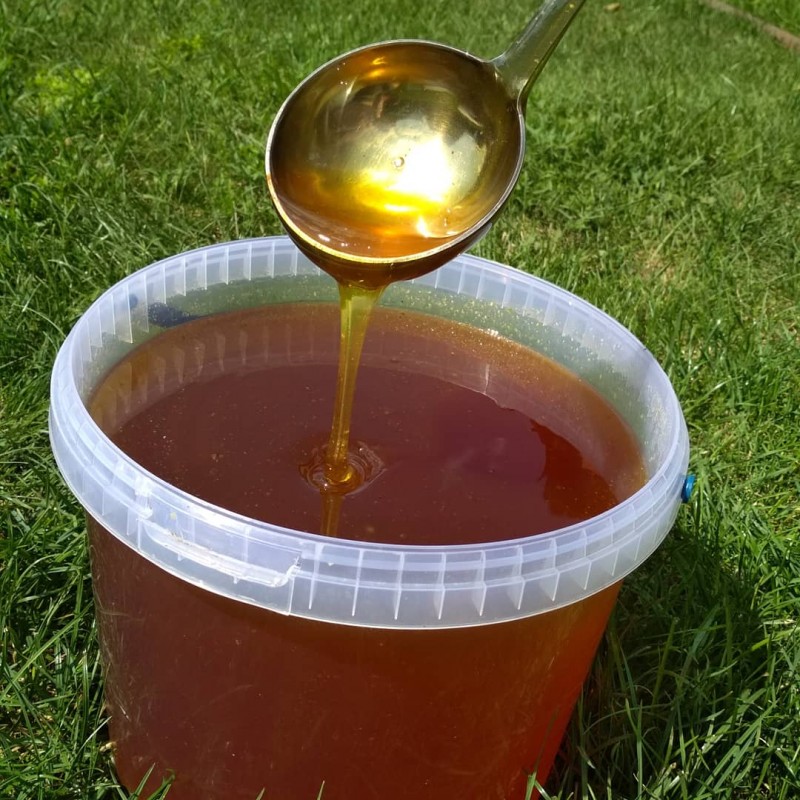 Фото 3. Продам кориандровый мёд