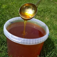 Продам кориандровый мёд