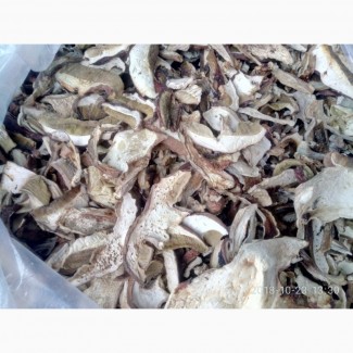 Продаю білі гриби сушені