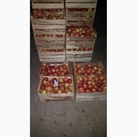 Продам яблоки, сорт Фуджи