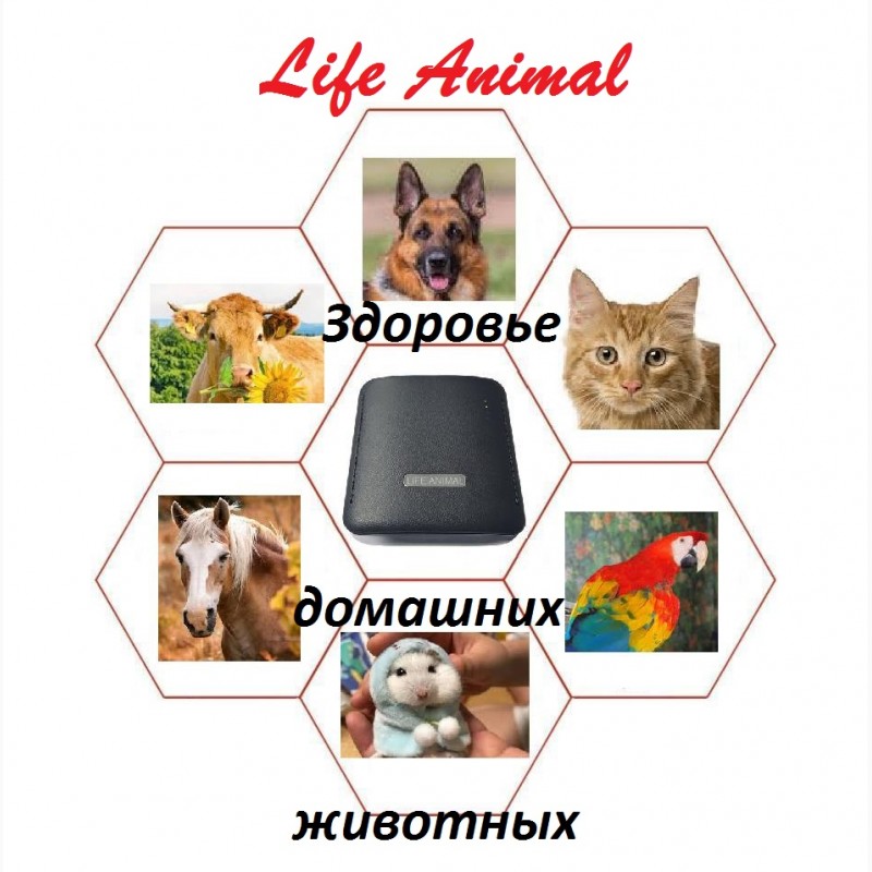 Фото 2. Лечение животных дома прибором Life Animal. Помощь ветеринару. АКЦИЯ - кешбэк 10%