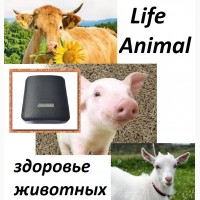 Лечение животных дома прибором Life Animal. Помощь ветеринару. АКЦИЯ - кешбэк 10%