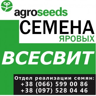 Элитные семена. Ячмень Всесвит. Семена от производителя