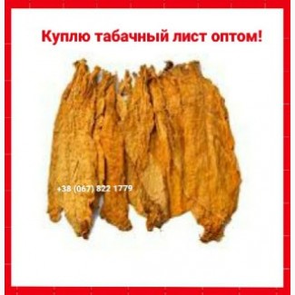 Куплю тютюновий лист ОПТОМ ! Вся Україна