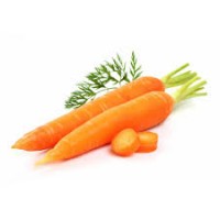 Купимо моркву великими партіями по всій Україні