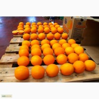 Апельсин Испания с доставкой в Киев