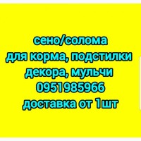 Экологически чистое СЕНО в тюках. Большие объемы