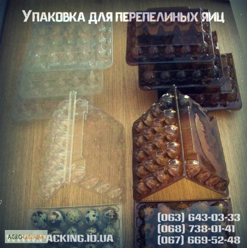 Фото 4. Многоразовая, качественная и лучшая упаковка под перепелиное яйцо в Украине