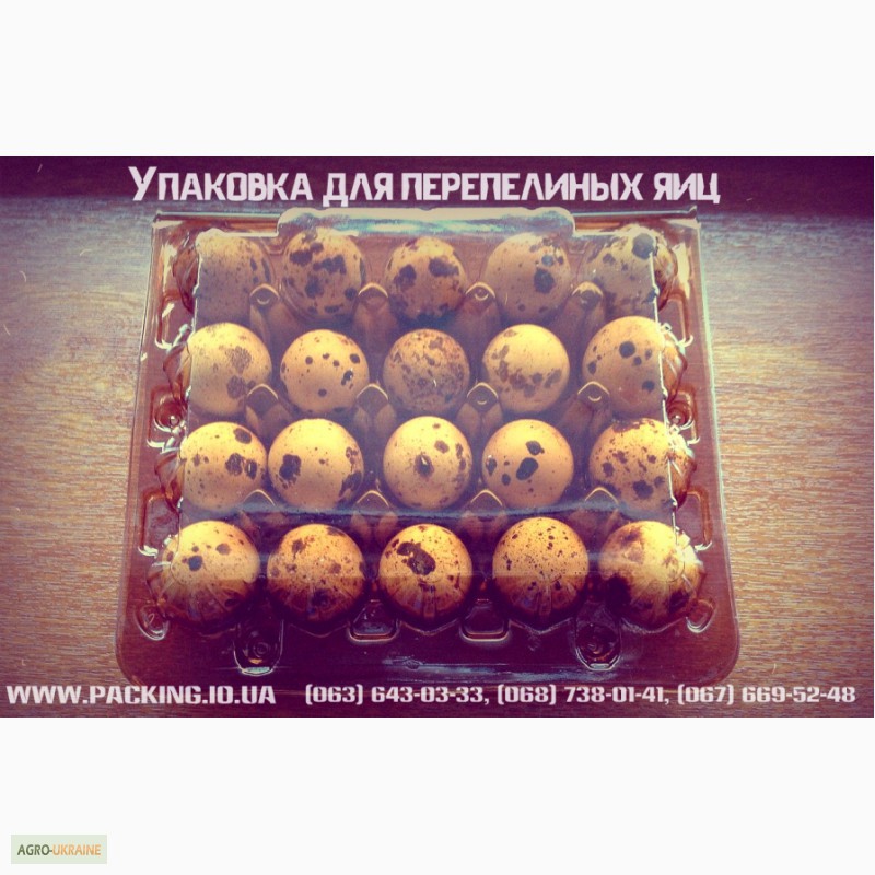 Фото 6. Многоразовая, качественная и лучшая упаковка под перепелиное яйцо в Украине