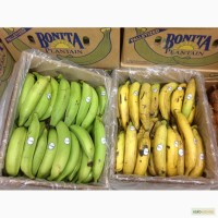 Продаж овощного банана Plantain ( плантайн)