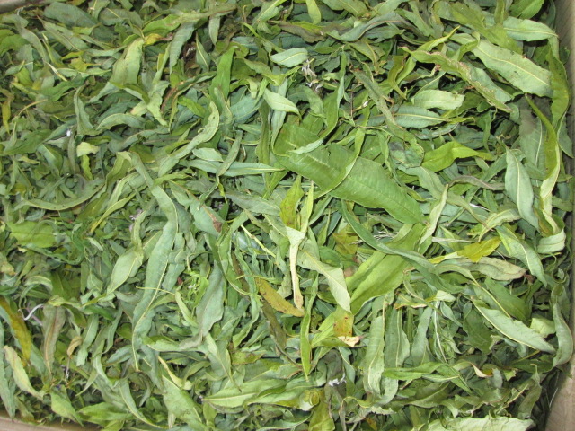Иван Чай Кипрей Epilobium angustifolium лист цельный сухой эко натур высокогорный Карпат