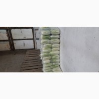 Продаем пекинскую капусту
