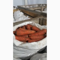 Продам морковь сорт Абако, холодильное хранение, крупный и мелкий опт. Самовывоз. Торг