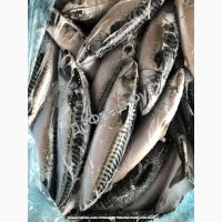 Продам рыбу свежемороженую/ Продам рибу свіжоморожену