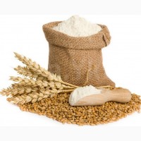 Мука пшеничная высший сорт и 1 сорт оптом