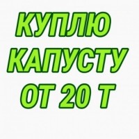 Куплю капусту ТОЛЬКО 2 сорт