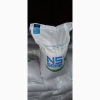 Продам сертифіковане протруєне насіння остистої озимої пшениці НС 40С в 25 кг мішках