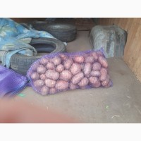 Продам картофель разных сортов