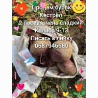 Продам буряк кестрел