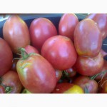 Семена томатов коллекционные
