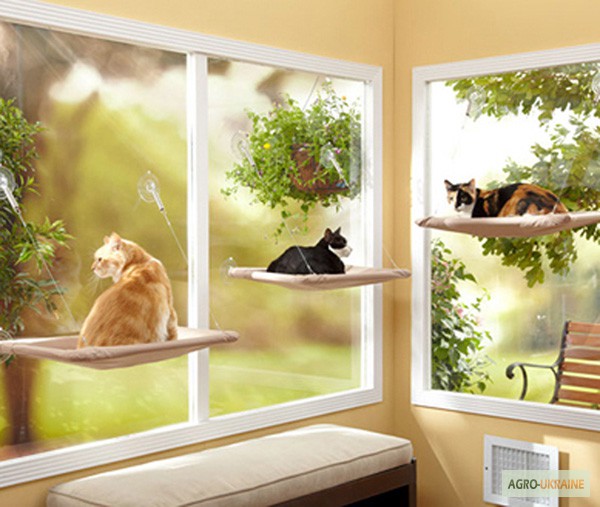 Фото 3. Спальное место для кошки - кровать, лежанка оконная Sunny Seat Window