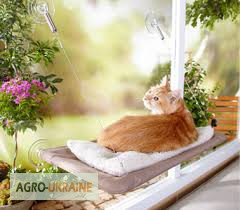 Фото 4. Спальное место для кошки - кровать, лежанка оконная Sunny Seat Window