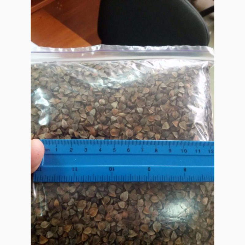 Фото 3. Канадские семена гречки Гренби - 1 реп (мелкий опт)