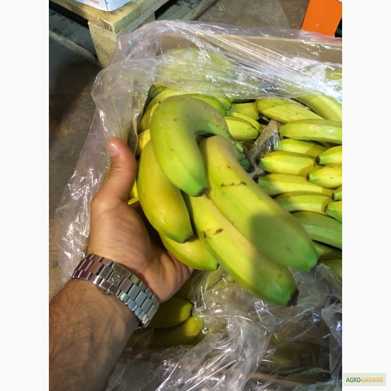 Фото 3. Продаем бананы из Испании