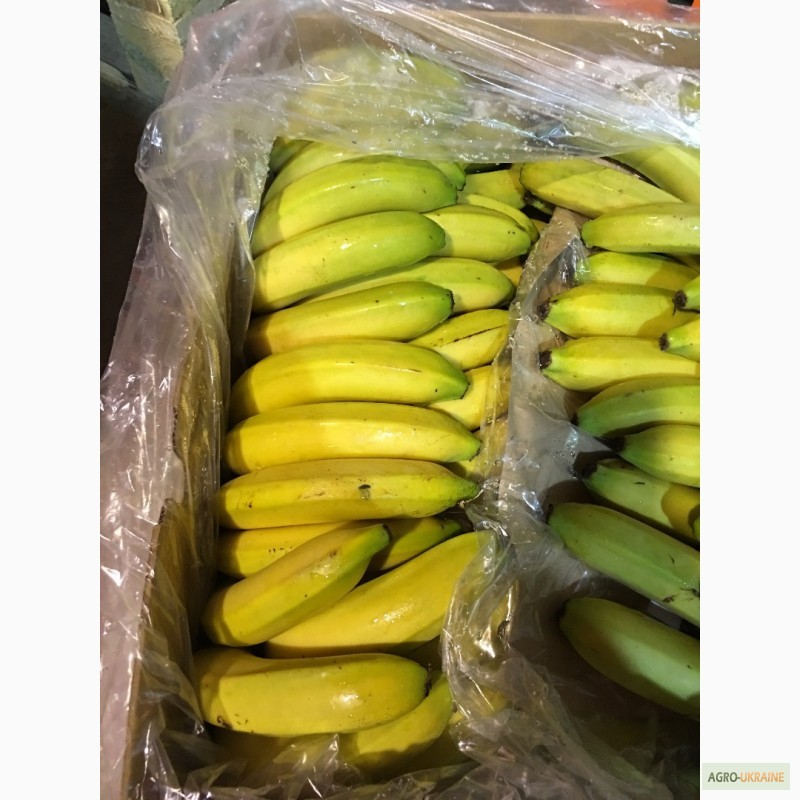 Фото 4. Продаем бананы из Испании