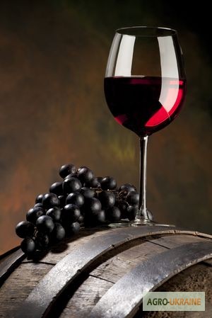 Фото 5. Продам Закарпатское домашнее Красное и белое вино 100% натуральное (Без Добавок)