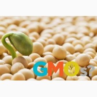 Продам СРОЧНО новый Канадский трансгенный сорт сои под раундап семена насіння сої ГМО
