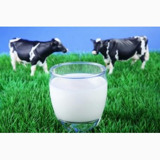 Мини-ферма предлагает молоко