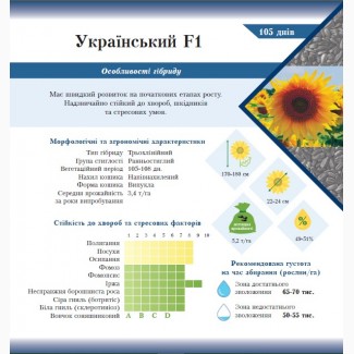 Соняшник Український F1 насіння гібридне ВНІС