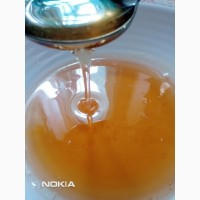 Продам сосновый мед с молодых побегов по уникальному рецепту