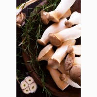 Свежие грибы Еринги