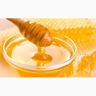 Продам мед ріпаковий оптом