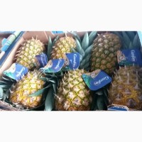 Продам ананас