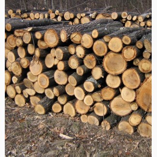 Дровяна деревина (дрова 2м+, сосна, вільха, осика), куплю