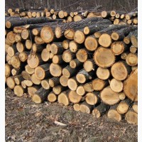 Дровяна деревина (дрова 2м+, сосна, вільха, осика), куплю